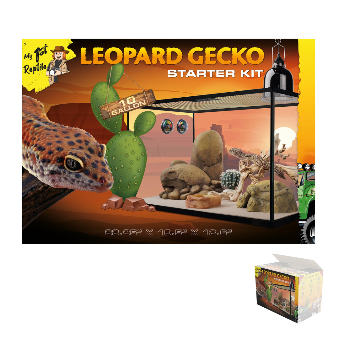 Exo Terra - Ensemble Habitat Équipé Gecko Léopard - Terrarium pour Reptiles