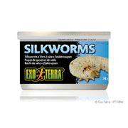 EXO TERRA Nourriture Conserve Vers à Soie 34g XL pour Reptiles