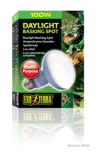 Exo Terra - Ampoule-Spot Lumière du Jour - Éclairage pour Terrariums