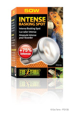 Voir l’image dans la galerie, EXO TERRA Ampoule Intense 50W S20 pour Reptiles