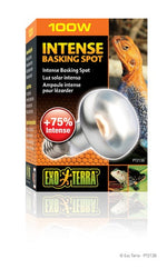 Voir l’image dans la galerie, Exo Terra - Ampoule-Spot de Lézardage Intense - Éclairage pour Terrariums