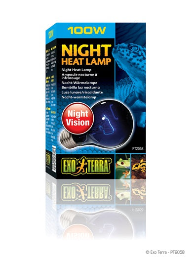 EXO TERRA Ampoule Nocturne 100W Infrarouge A19 pour Reptiles