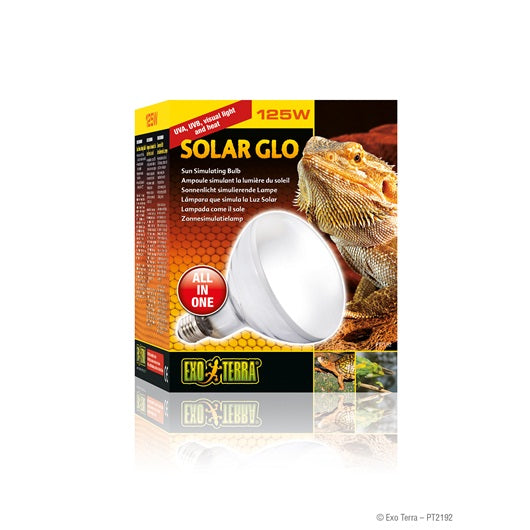 EXO TERRA Ampoule 125W Solar Glow pour Reptiles