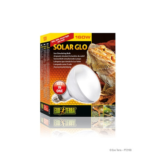 Exo Terra - Ampoule à Vapeur de Mercure Solar Glo - Éclairage pour Terrariums