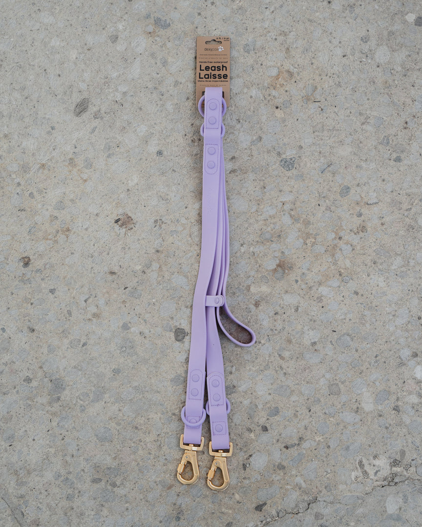 Dexypaws - Laisse Mains Libres Imperméable - Laisse pour Chiens