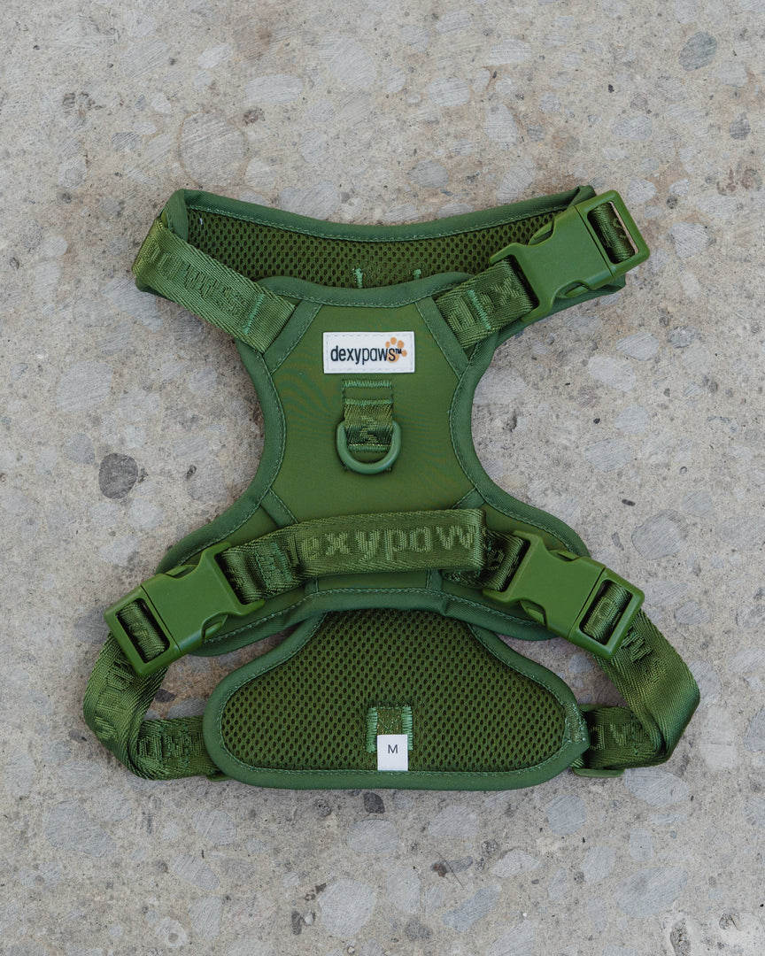 DEXYPAWS Harnais Sans Traction Vert Camouflage M