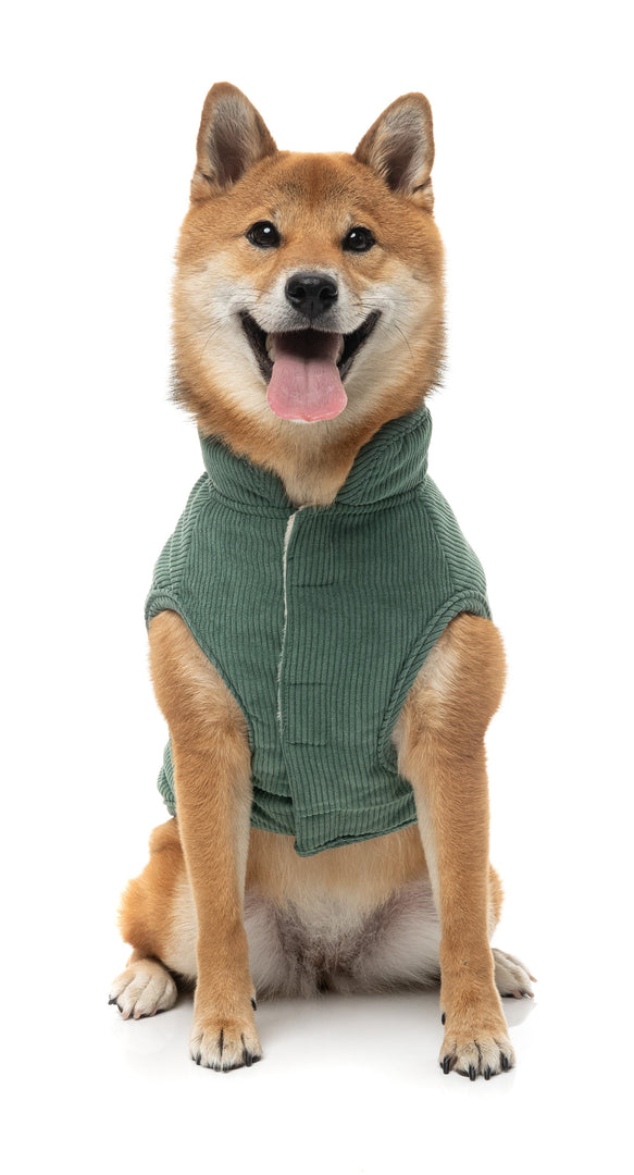 FUZZYARD Life Veste Velours Côtelé Vert #3