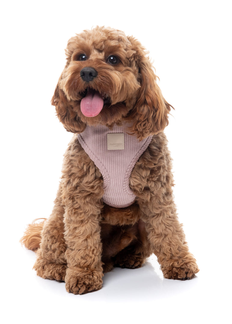 FUZZYARD Life Harnais Step-In Velours Côtelé Blush Doux L