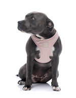 Voir l’image dans la galerie, FUZZYARD Life Harnais Step-In Coton Blush Doux XXS