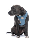 Voir l’image dans la galerie, FUZZYARD Life Harnais Step-In Coton Bleu XL