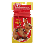Voir l’image dans la galerie, LW Laisse 48" &amp; Harnais Lapin Rouge