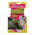 Voir l’image dans la galerie, *LW Laisse 48" &amp; Harnais Furet Vert