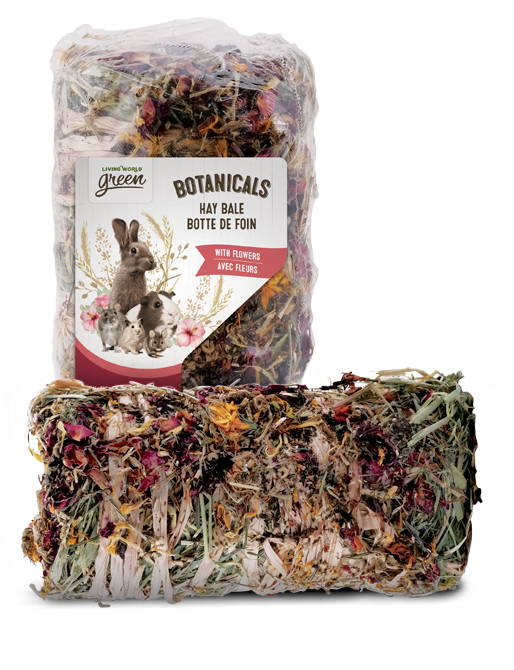 Living World Green - Botte de Foin Botanicals aux Fleurs - Gâteries pour Rongeurs