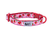 RCP Chat Collier Sécuritaire 8-10