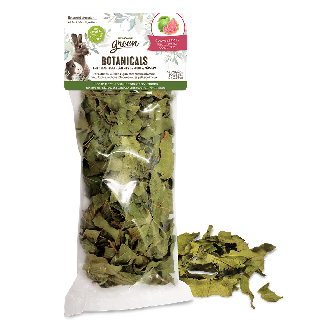 Living World Green - Feuilles de Goyavier Botanicals - Gâteries pour Rongeurs