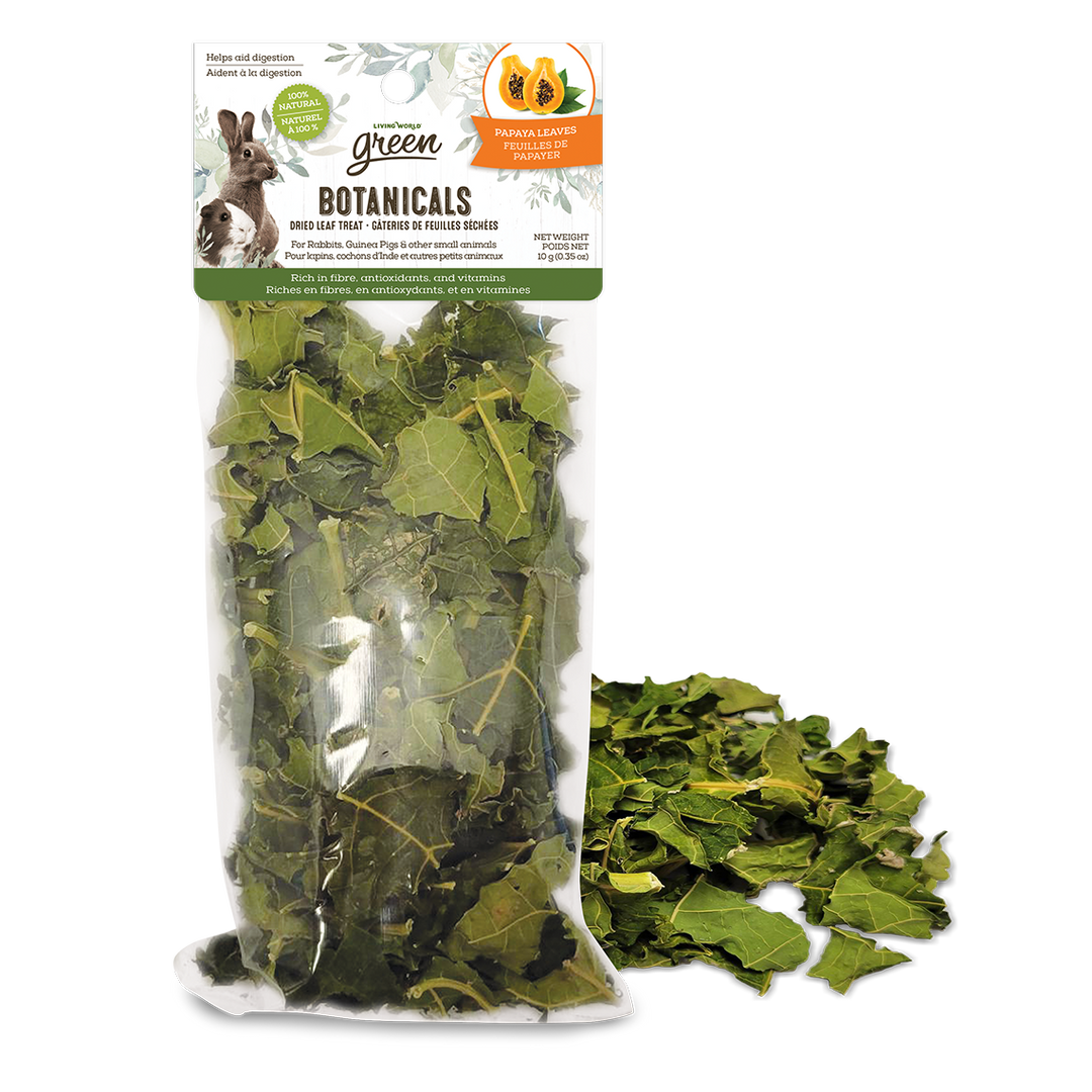 Living World Green - Feuilles de Papayer Botanicals - Gâteries pour Rongeurs