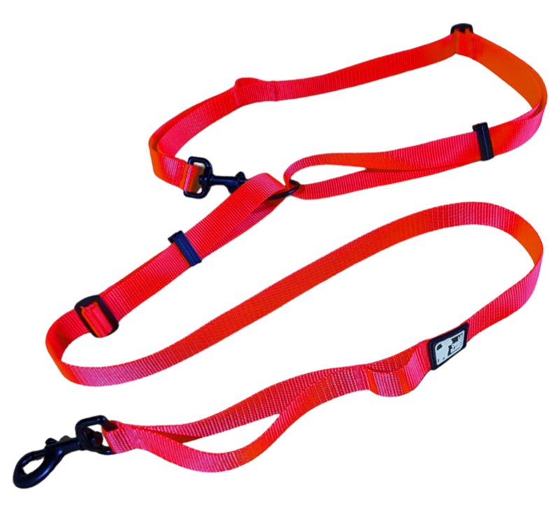 CHIEN BLANC Laisse Multi-Snaphook Rouge