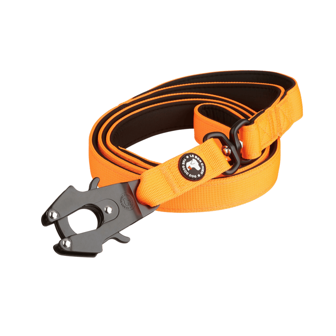 LBC Laisse Tactique Orange