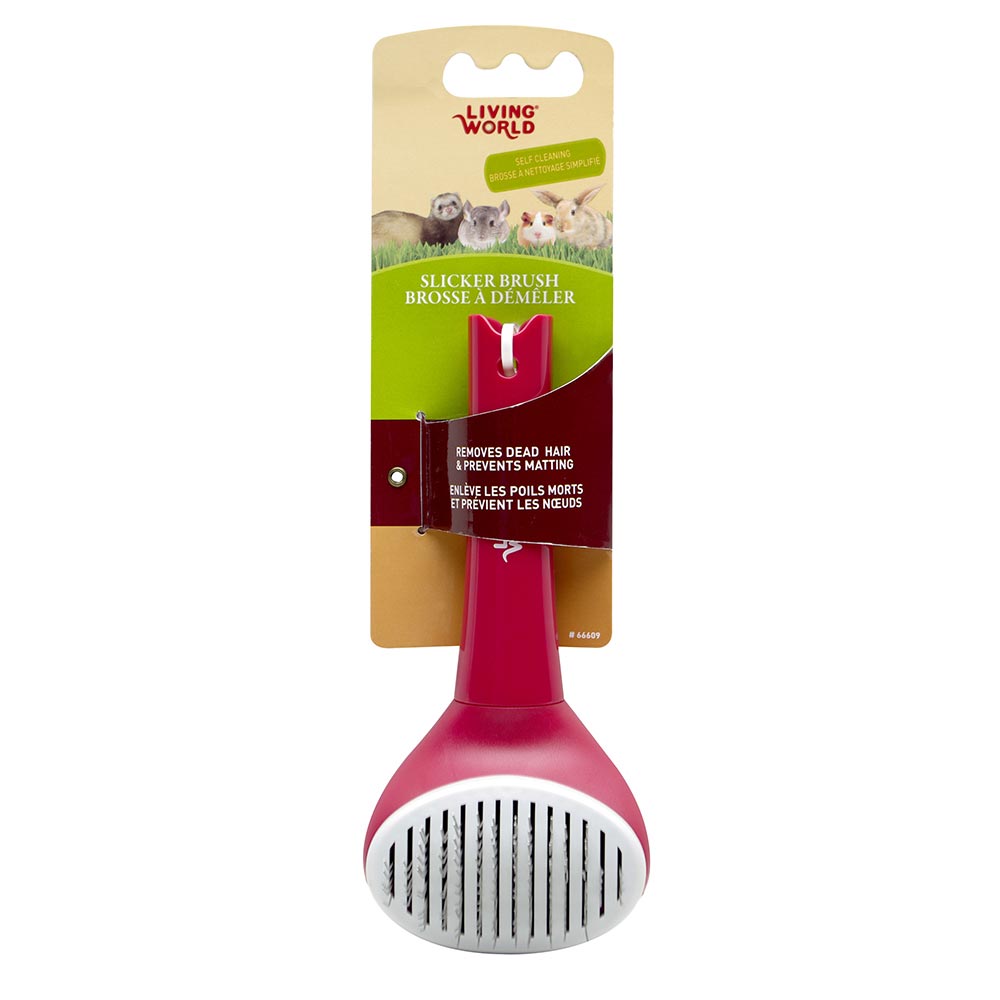 LW Brosse à Démêler Autonettoyante pour Petits Animaux