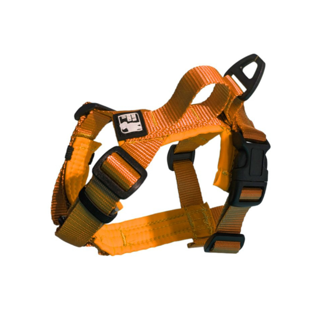 CHIEN BLANC Mini Harnais 3-12lb Orange