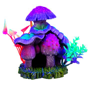 *MARINA iGlo Maison Champignons/Plantes 6