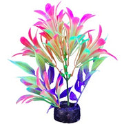*MARINA iGlo Plantes 5.5