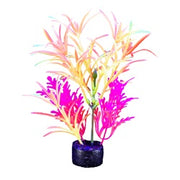 *MARINA iGlo Plantes 7.5