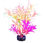 *MARINA iGlo Plantes 5.5