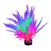 *MARINA iGlo Plantes 5.5