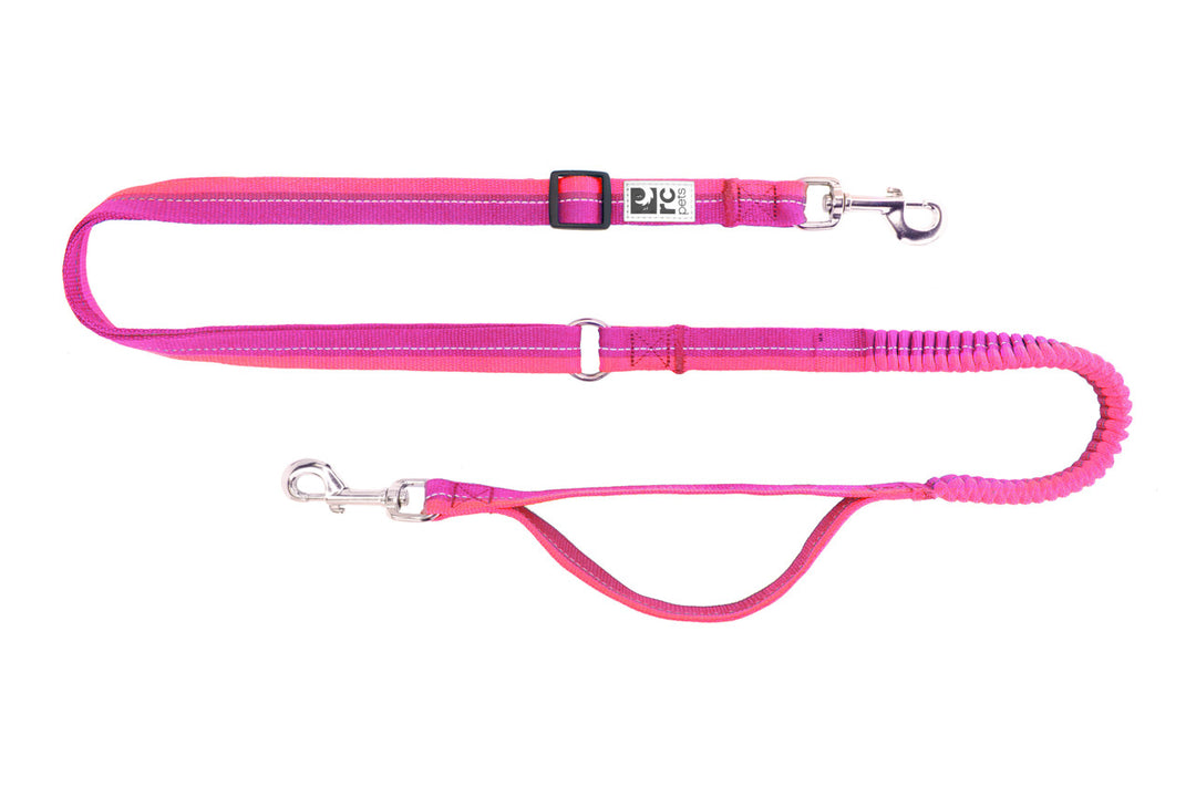 RC Pets - Laisse Élastique Active 1" x 78" Mûre/Azalée - Laisse pour Chiens