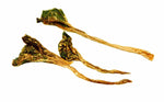 Voir l’image dans la galerie, Nature's Own - Tendons de Kangourou 150 g - Gâteries Naturelles pour Chiens