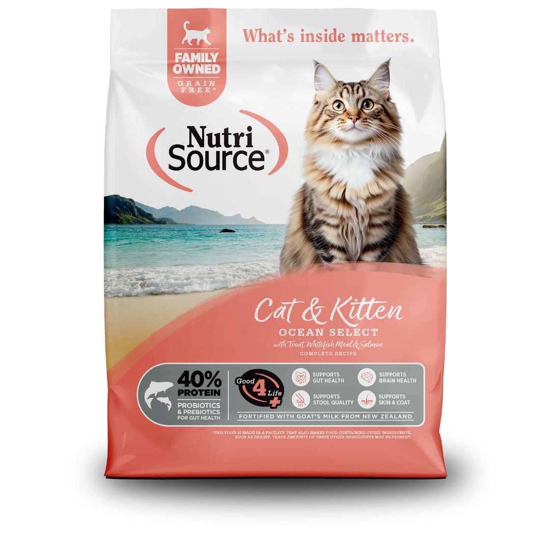 NutriSource - Chat & Chaton Ocean Select Truite, Poisson Blanc et Saumon - Nourriture Sèche Sans Grains pour Chats