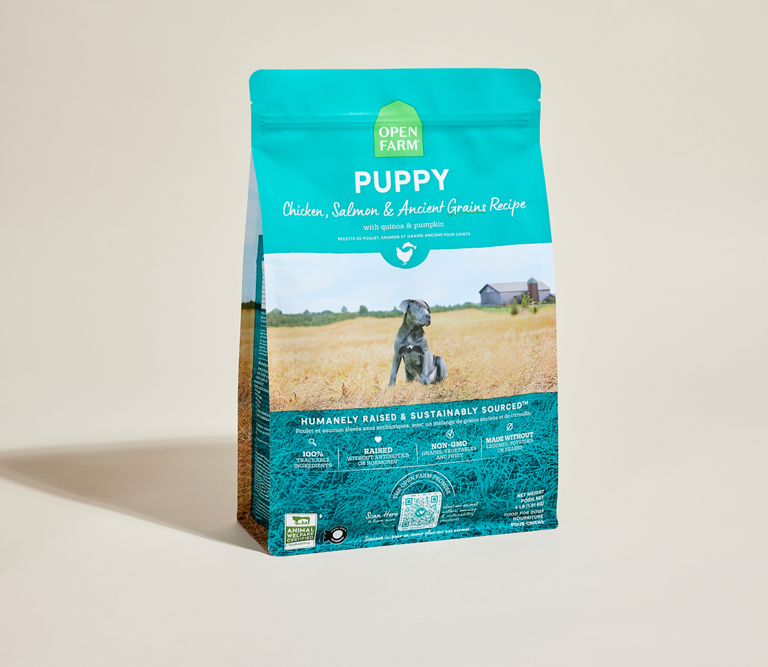 Open Farm - Chiot Poulet, Saumon et Grains Anciens - Nourriture Sèche pour Chiens