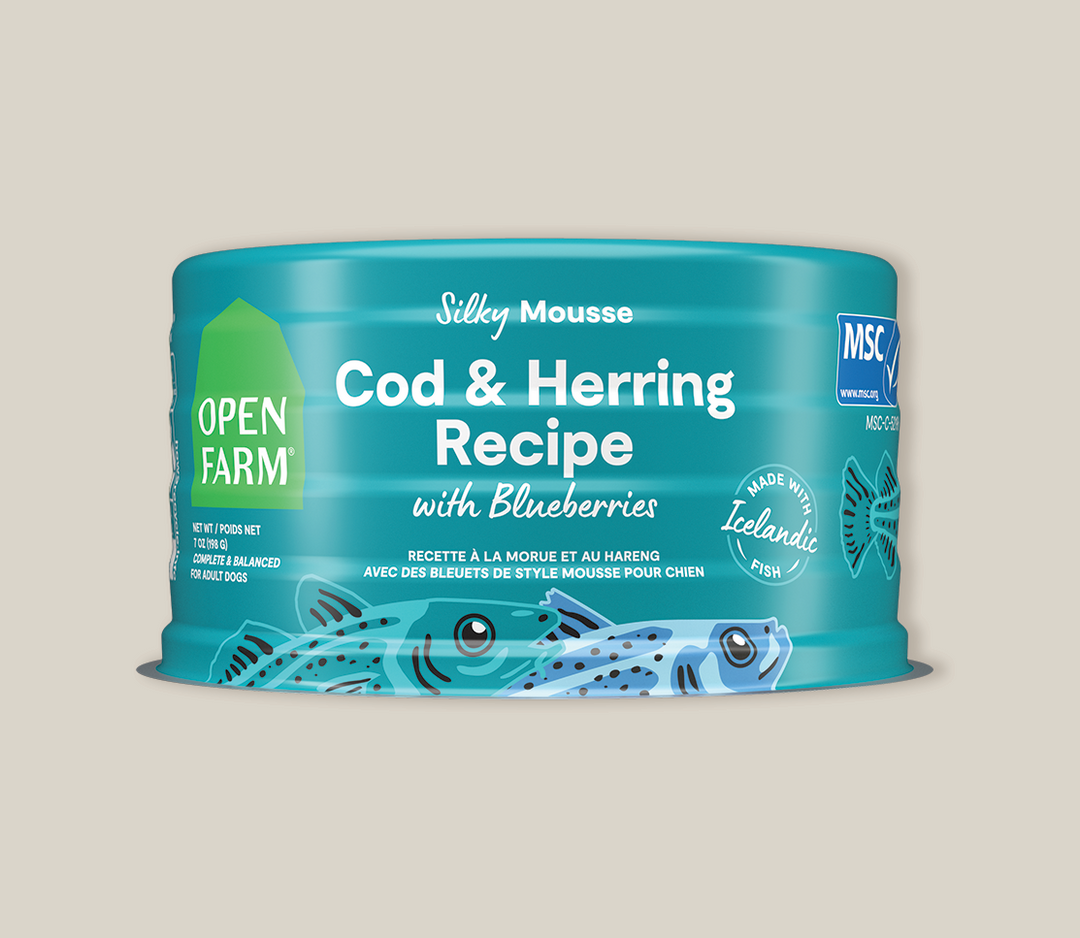 Open Farm - Mousse au Morue et Hareng avec Bleuets - Nourriture Humide Sans Grains pour Chiens