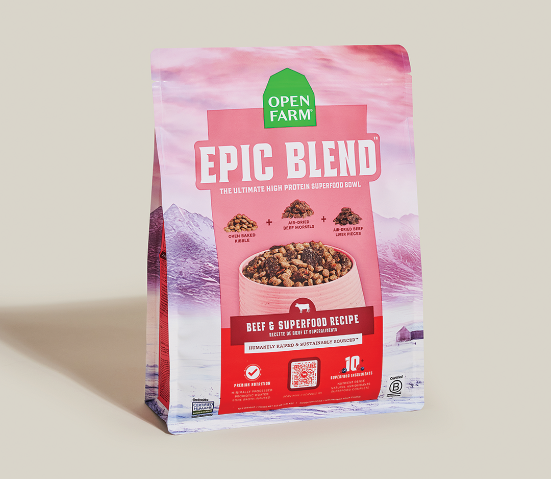 Open Farm Epic Blend - Boeuf et Superaliments - Nourriture Sèche pour Chiens