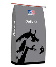 PURINA OATENA TXT SAC 25KG
