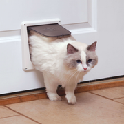 Petsafe - Porte à 4 Positions de Verrouillage - Porte pour Chats