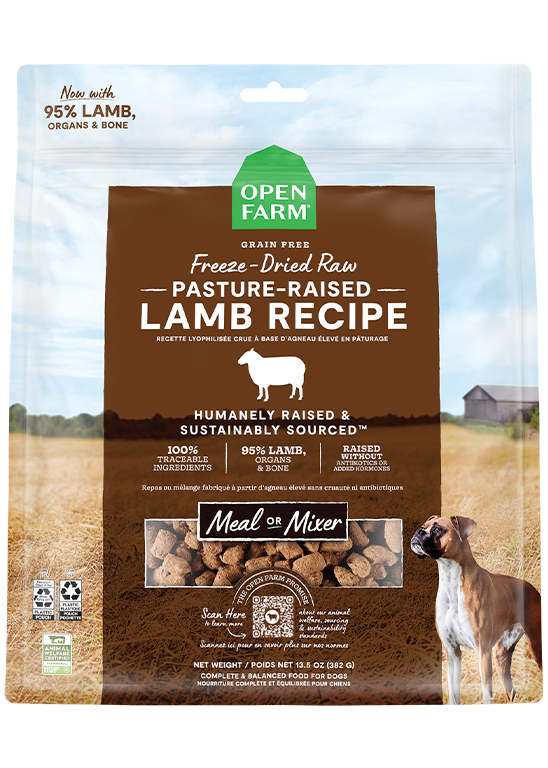 Open Farm Lyophilisé - Bouchées d'Agneau Élevé en Pâturage - Nourriture Sèche Sans Grains pour Chiens