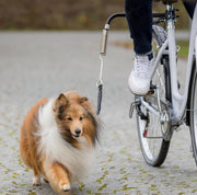 TRIXIE Ensemble de Vélo