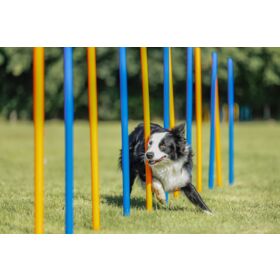 TRIXIE Jouet Chien Jeux Agilité Slalom