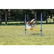 TRIXIE Jouet Chien Jeux Agilité Obstacle
