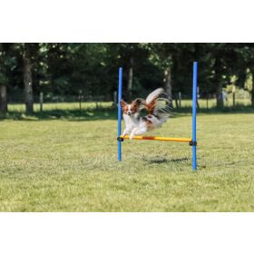 TRIXIE Jouet Chien Jeux Agilité Obstacle