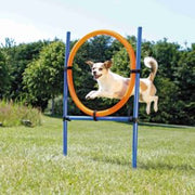 TRIXIE Jouet Chien Jeux Agilité Anneau