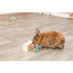 TRIXIE Jouet Rongeur Cube Snack