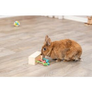 TRIXIE Jouet Rongeur Cube Snack