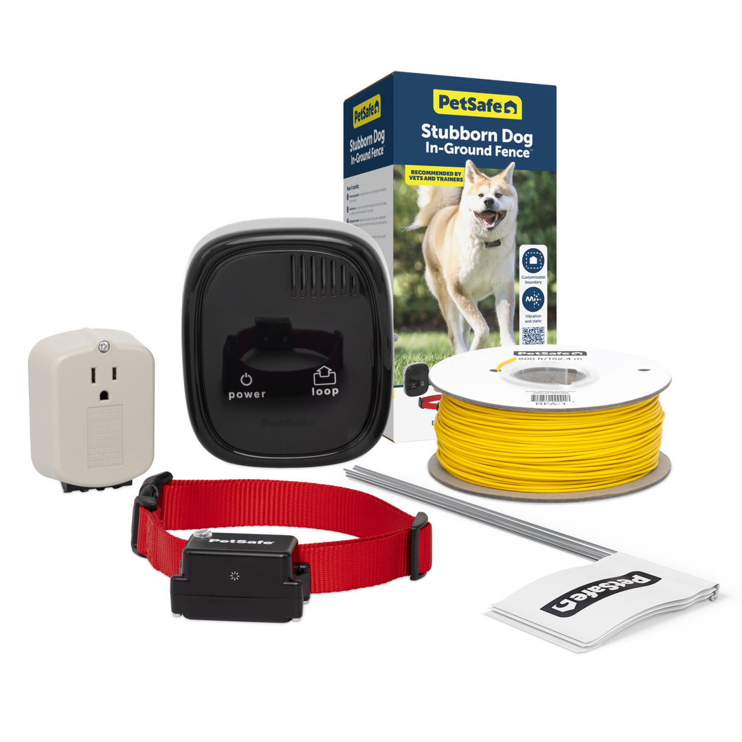 Petsafe - Clôture Souterraine Anti-Fugue avec Collier pour Chiens Têtus - Système Anti-Fugue pour Chiens