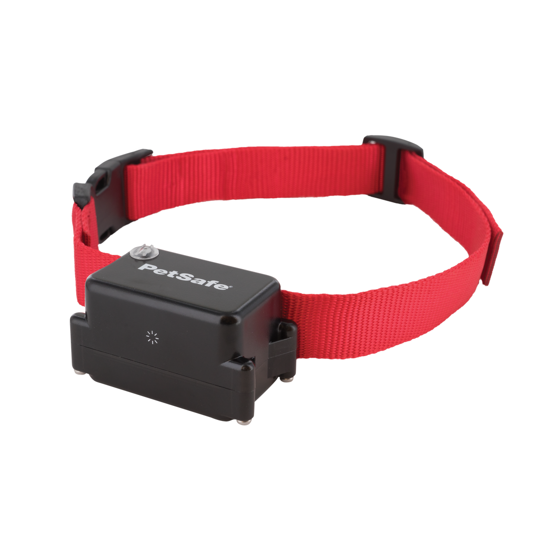 Petsafe - Clôture Souterraine Collier Add-A-Dog pour Chiens Têtus - Accessoire Anti-Fugue pour Chiens