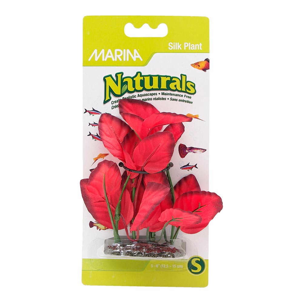 *MARINA Plante Feuilles Larges Rouges 5-6" pour Aquarium