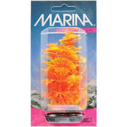 *MARINA Plante Lysimaque Nummulaire Rouge & Indigo 13-14