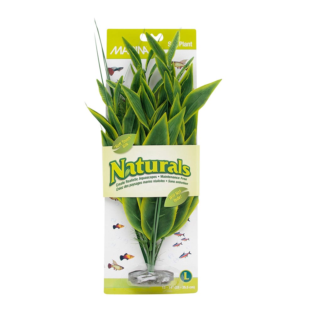 *MARINA Plante Dracéna Verte 18-19" XL pour Aquarium
